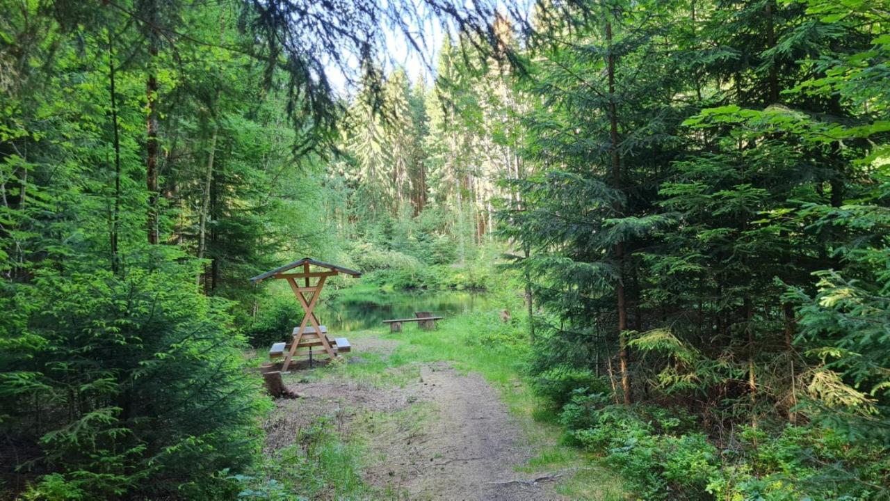Pension Wernesgruen Екстер'єр фото